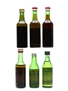 Dubonnet Wine Aperitif & Noilly Vermouth  6 x 4cl-6.8cl