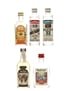 Assorted Spirit Of The World Gordon's, Mariachi, Schmittmann & Vladivar 5 x 4.7cl-5cl