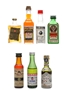 Assorted Liqueurs Of The World Barbieri, Drioli, Illva, Mandarine Napoleon, Jagermeister, Pernod, Wolfschmidt 7 x 2cl-4cl