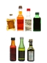 Assorted Liqueurs Of The World Barbieri, Drioli, Illva, Mandarine Napoleon, Jagermeister, Pernod, Wolfschmidt 7 x 2cl-4cl