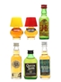 Assorted Whisky & Spirits Aidees Of Torquay, J&B, Long John, Royal Scot, Queen Anne 6 x 4.7-5cl