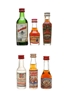 Assorted German & Russian Spirits & Liqueurs  6 x 2cl-4cl