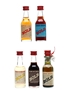 Assorted Bols Liqueurs Apricot, Cherry Brandy, Creme De Bananas, Creme De Cacao & Orange Bitters 5 x 3cl