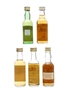 Assorted Blended Scotch Whisky Famous Grouse, Glen Rowan, Pig's Nose, Tax Collector & Ye Monks 5 x 5cl