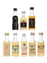 Assorted Blended Scotch Whisky  8 x 5cl