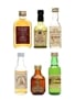 Assorted Malts & Blends Highland Fusilier, J & B, Old Gowrie, Pheasant Plucker, Robbie Burns & Sheep Dip 6 x 5cl