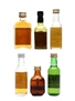 Assorted Malts & Blends Highland Fusilier, J & B, Old Gowrie, Pheasant Plucker, Robbie Burns & Sheep Dip 6 x 5cl