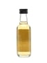 Macallan 1990 17 Years Old Single Malt of Scotland 5cl