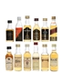 Assorted Blended Scotch Whisky  12 x 5cl