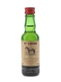 St Leger Light Dry Choice Scotch Whisky Bottled 1960s 3.8cl / 43%