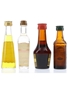 Assorted Liqueurs Galliano, Mandarine Napoleon, Strega & Tia Maria 4 x 3cl-5cl