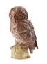 Whyte & Mackay Tawny Owl Royal Doulton 20cl / 40%