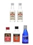 Assorted Vodka Chekov, Huzzar, Romanoff & Royalty 5 x 5cl