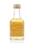 Convalmore 1984 16 Year Old The Whisky Connoisseur - Lost Legends 5cl / 43%