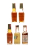 Assorted Kentucky Straight Bourbon Whiskey Bottled 1960s-1970s 5 x 4.7cl / 43%