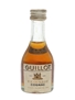 Guillot 20 Year Old VSOP Bottled 1960s-1970s - Rejna Import 2.9cl / 40%