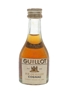 Guillot 20 Year Old VSOP Bottled 1960s-1970s - Rejna Import 2.9cl / 40%