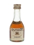 Guillot 20 Year Old VSOP Bottled 1960s-1970s - Rejna Import 2.9cl / 40%