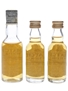 Match 5 & 8 Year Old  3 x 3cl-4.7cl / 43%