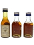 Martell 3 Star Bottled 1960s-1970s 3 x 3cl / 40%