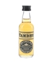 Tamdhu Fine Single Malt  5cl / 40%