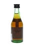 Torres 5 Year Old VSOP Solera Selecta  5cl / 39%