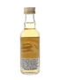 Port Ellen 1980 16 Year Old Bottled 1996 - Signatory Vintage 5cl / 59.8%