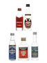 Assorted Vodka Borzoi, Greenland, Karloff, Puschkin & Romanoff 5 x 4cl-5cl