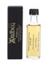 Ardbeg Twenty Something 22 Year Old - Trade Sample 10cl / 46.4%