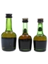 Courvoisier VSOP  3 x 2.5cl-5cl / 40%