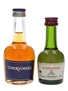 Courvoisier 3 Star Luxe & VSOP  2.7cl & 5cl / 40%