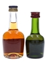 Courvoisier 3 Star Luxe & VSOP  2.7cl & 5cl / 40%