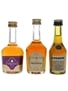 Courvoisier, Hennessy & Martell  3 x 3cl-5cl / 40%