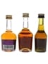 Courvoisier, Hennessy & Martell  3 x 3cl-5cl / 40%