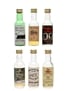 Assorted Blended Scotch Whisky Ben Nevis, Ben Roland, Brahms & Liszt, Celtic, Scotch On The Rock & Tax Collector 6 x 5cl / 40%