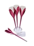 Moet & Chandon Champagne Tulip Flutes  4 x 20cl