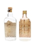 Stock Dry Gin & Gordon's Dry Gin 2 x 75cl 