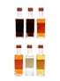 Saba Liqueurs Cherry Brandy, Fernet Saba, Mandarino, Orange Brandy, Sambuca 6 x 3cl-3.5cl