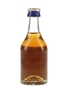 Martell 3 Star Bottled 1970s 5cl / 40%