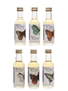 British Butterfly Collection Miniatures The Whisky Connoisseur 6 x 5cl / 40%