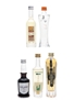 Assorted French Liqueurs Gabriel Boudier, June, Godet, Lejay, St Germain 5 x 5cl