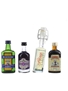 Assorted Liqueurs Becherovka, Bitter Truth, Pisa Limoncino, Toussaint 4 x 5cl