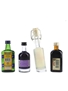 Assorted Liqueurs Becherovka, Bitter Truth, Pisa Limoncino, Toussaint 4 x 5cl
