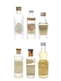 Assorted Anise Liqueurs Fuentes, Marie Brizard, Montana, Morey, Mollfulleda, Modesto Solera 6 x 3cl-5cl