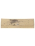 Moet & Chandon 2000 Le Rendez-Vous Wristwatch  