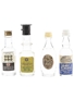 Assorted Italian Liqueurs  4 x 2.5cl-3cl