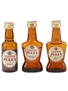 Stock Julia Grappa Riserva Stravecchia  3 x 3cl