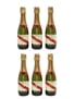 G H Mumm Cordon Rouge Champagne 6 x 37.5cl