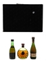 Remy Martin Cognac Set VSOP, Centaure Napoleon, Centaure XO 3 x 5cl / 40%