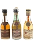 Torres Fontenac & Gran Torres Brandy Spanish Brandy 3 x 4.2cl-4.6cl